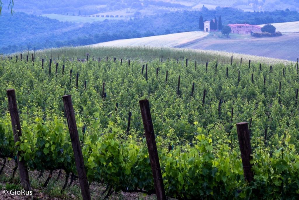 Agriturismo La Buca Di Bellugi San Quirico dʼOrcia المظهر الخارجي الصورة
