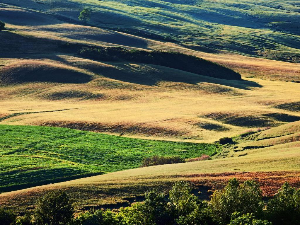 Agriturismo La Buca Di Bellugi San Quirico dʼOrcia المظهر الخارجي الصورة