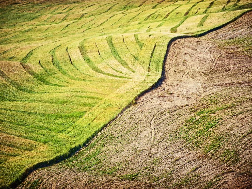 Agriturismo La Buca Di Bellugi San Quirico dʼOrcia المظهر الخارجي الصورة