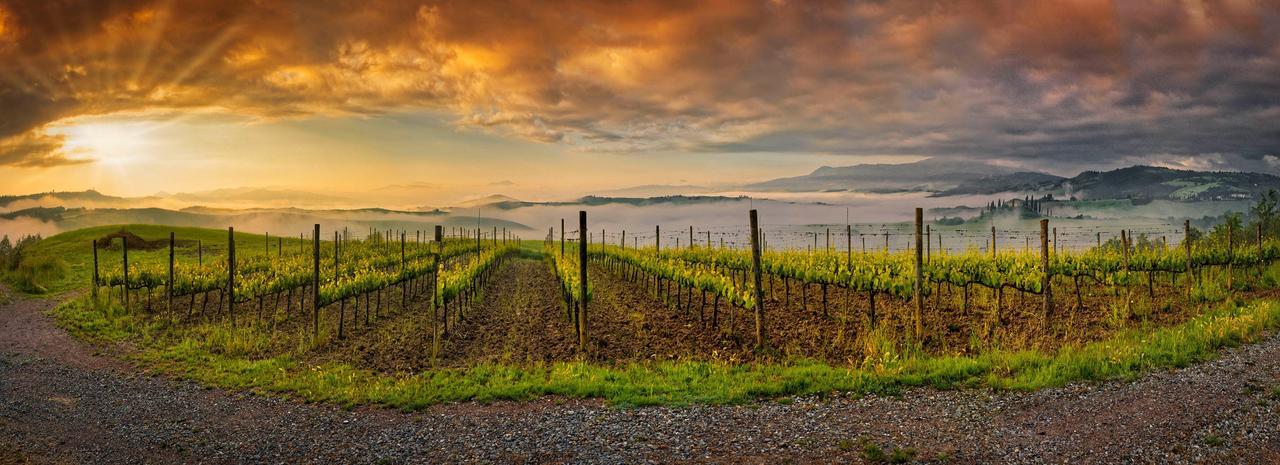 Agriturismo La Buca Di Bellugi San Quirico dʼOrcia المظهر الخارجي الصورة